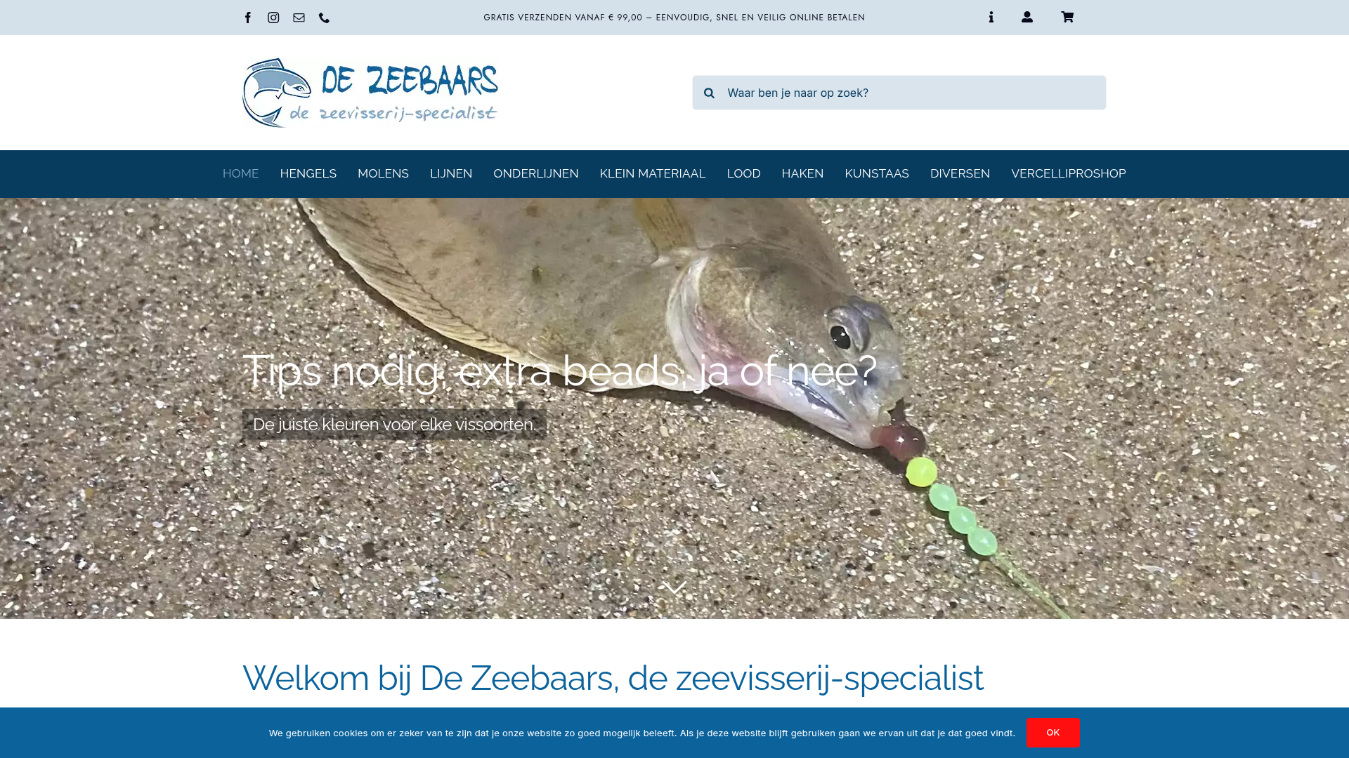 Screenshot van dezeebaars.nl