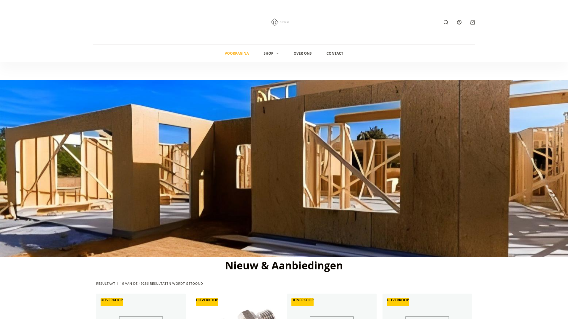 Screenshot van diybuis.com