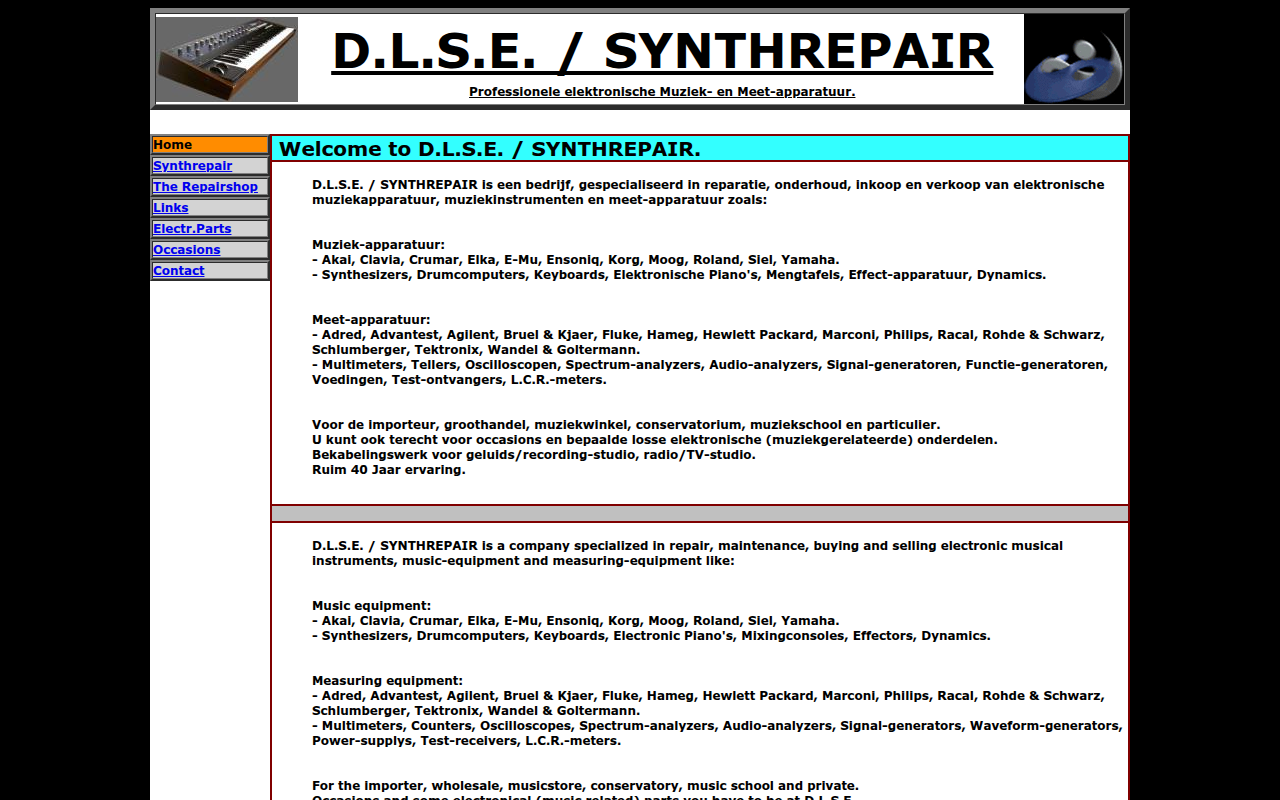 Screenshot van dlse.nl