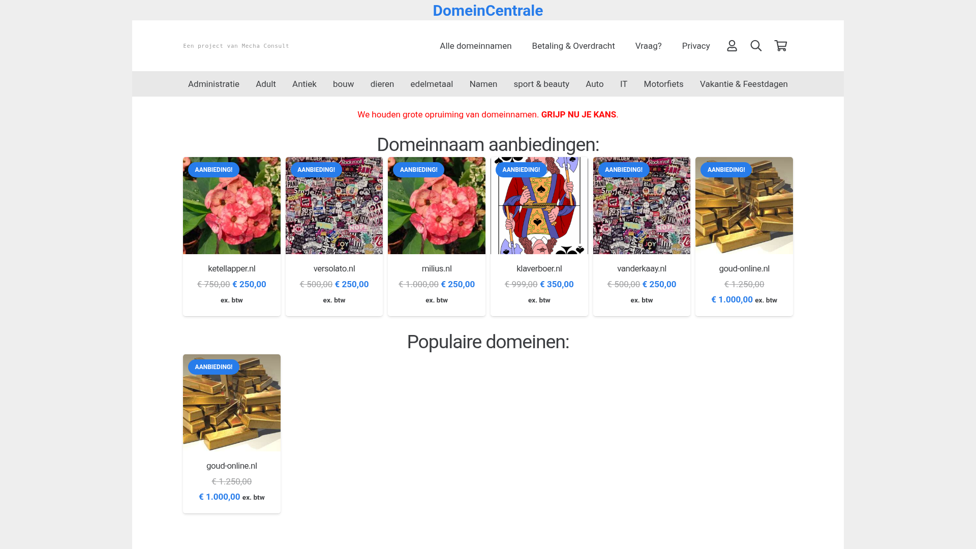 Screenshot van domeincentrale.nl