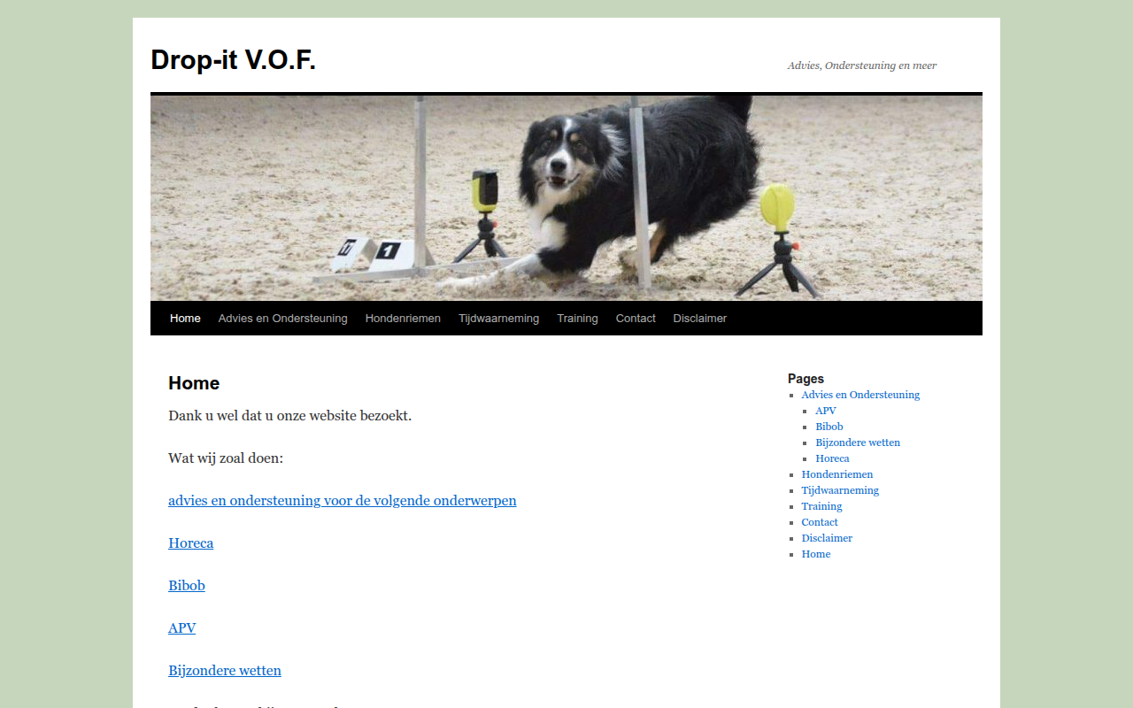 Screenshot van drop-it.nl