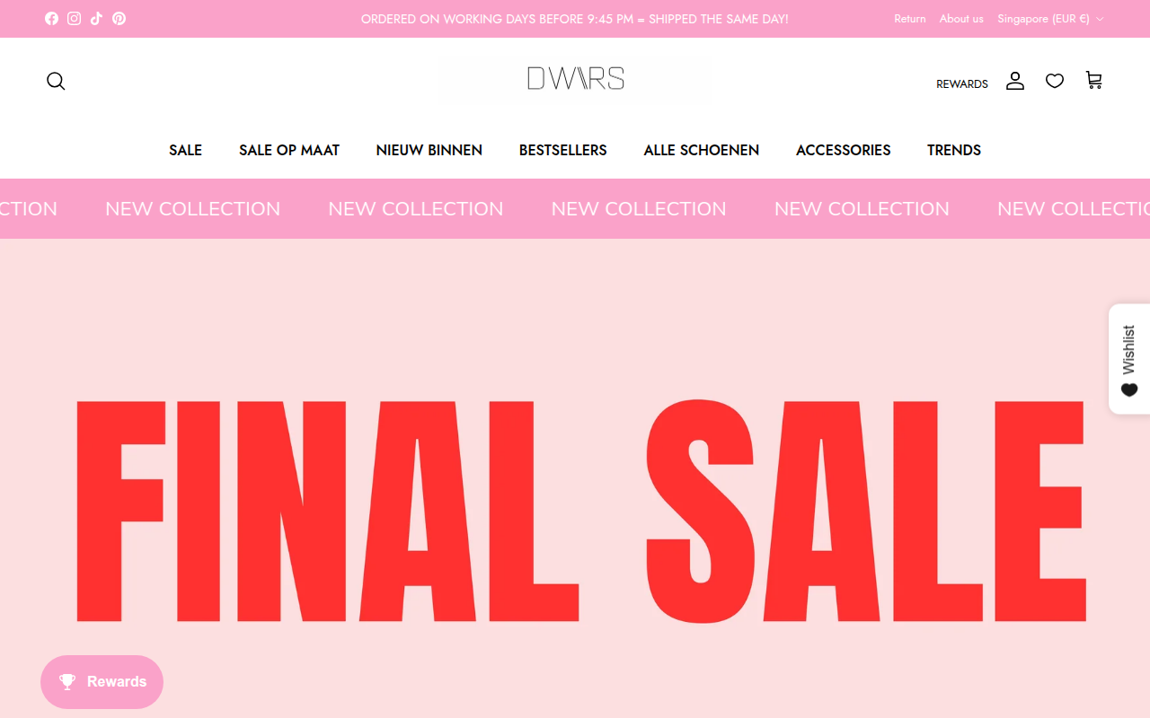 Screenshot van dwrslabel.com