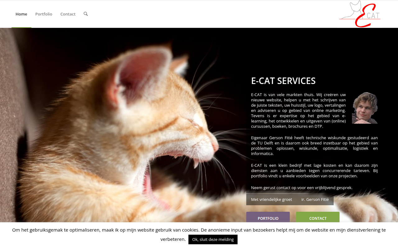 Screenshot van e-cat.nl