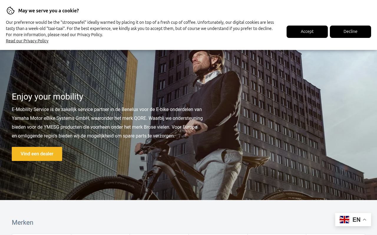 Screenshot van e-mobilityservice.nl
