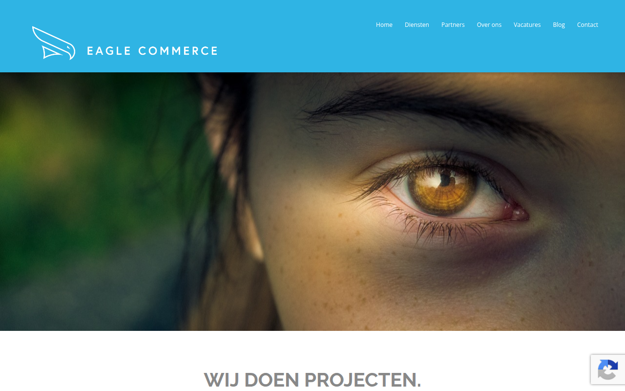 Screenshot van eaglecommerce.nl