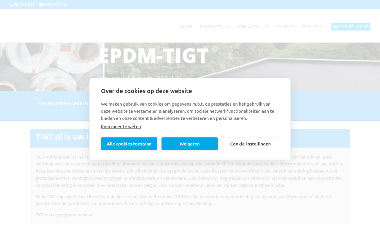 Screenshot van epdm-tigt.nl