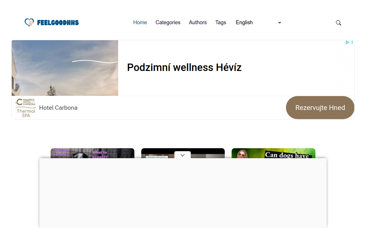 Screenshot van feelgoodhhs.com