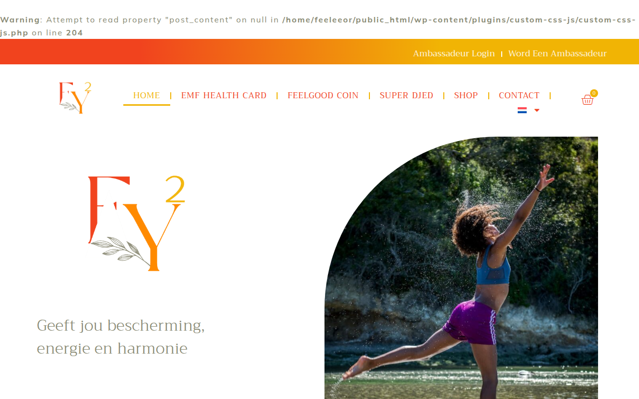 Screenshot van feelyoung2.com