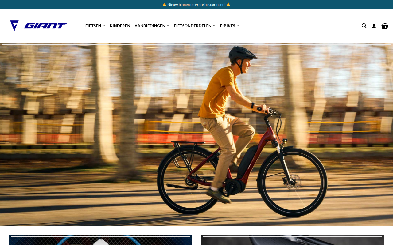 Screenshot van fietselitenl.com