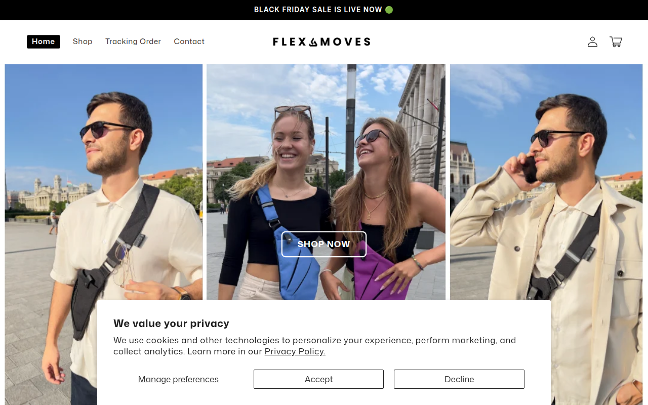 Screenshot van flexmoves.co