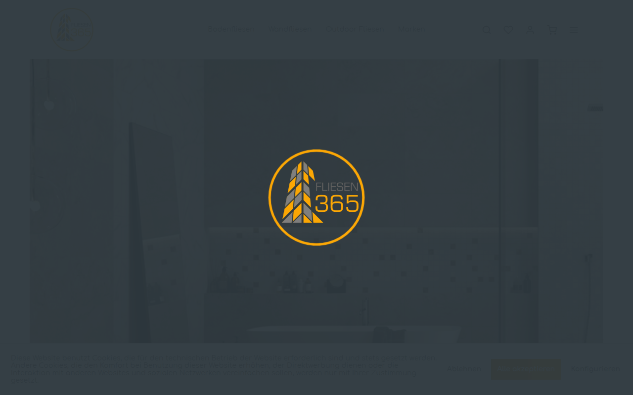 Screenshot van fliesen365.com