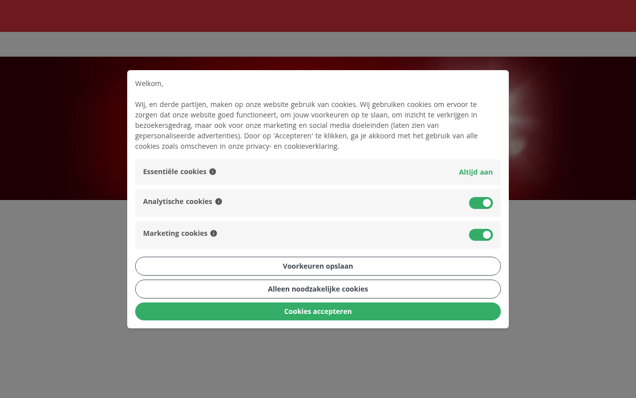 Screenshot van flyerzone.nl