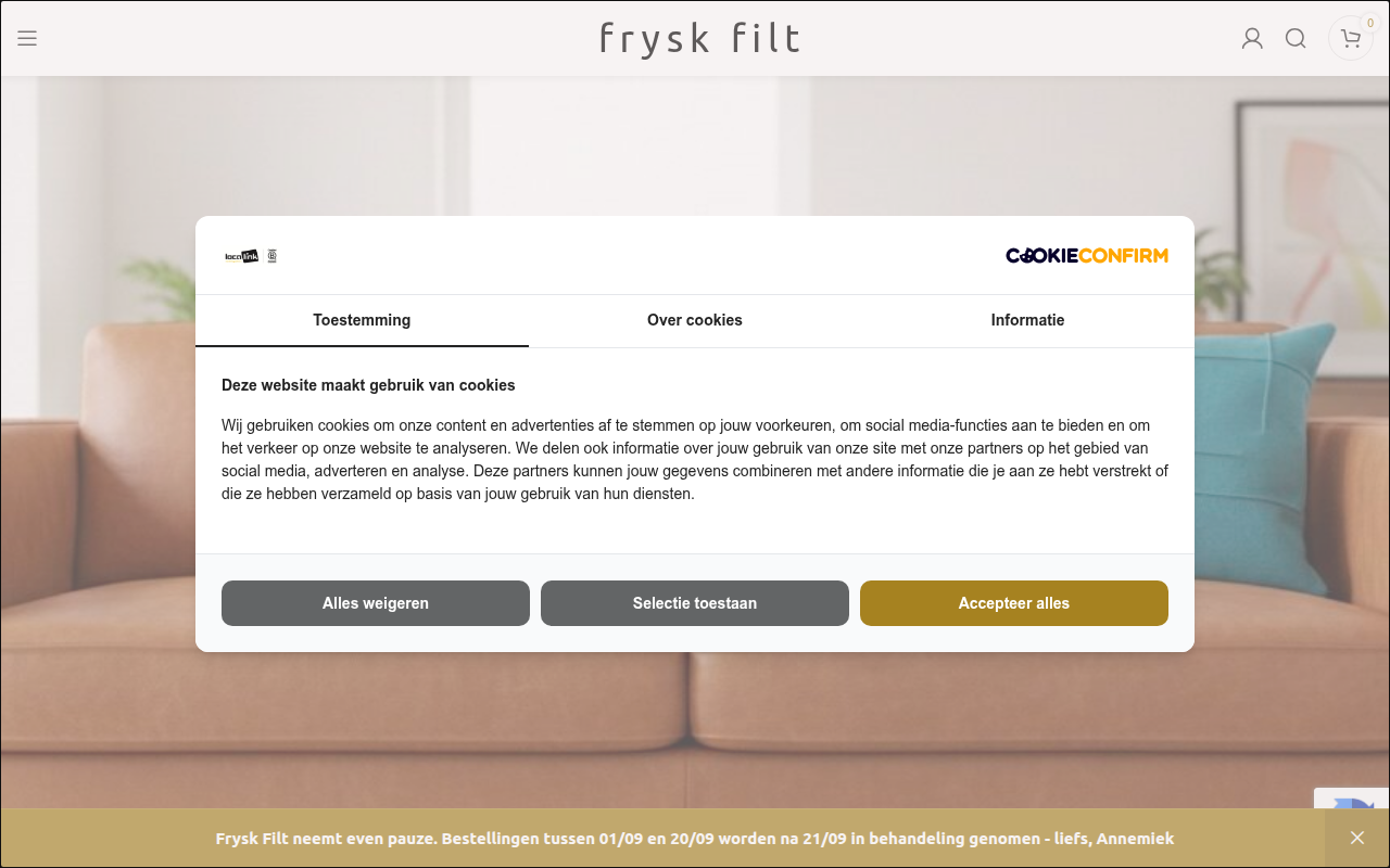Screenshot van fryskfilt.nl