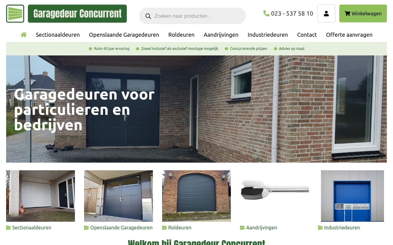 Screenshot van garagedeurconcurrent.nl