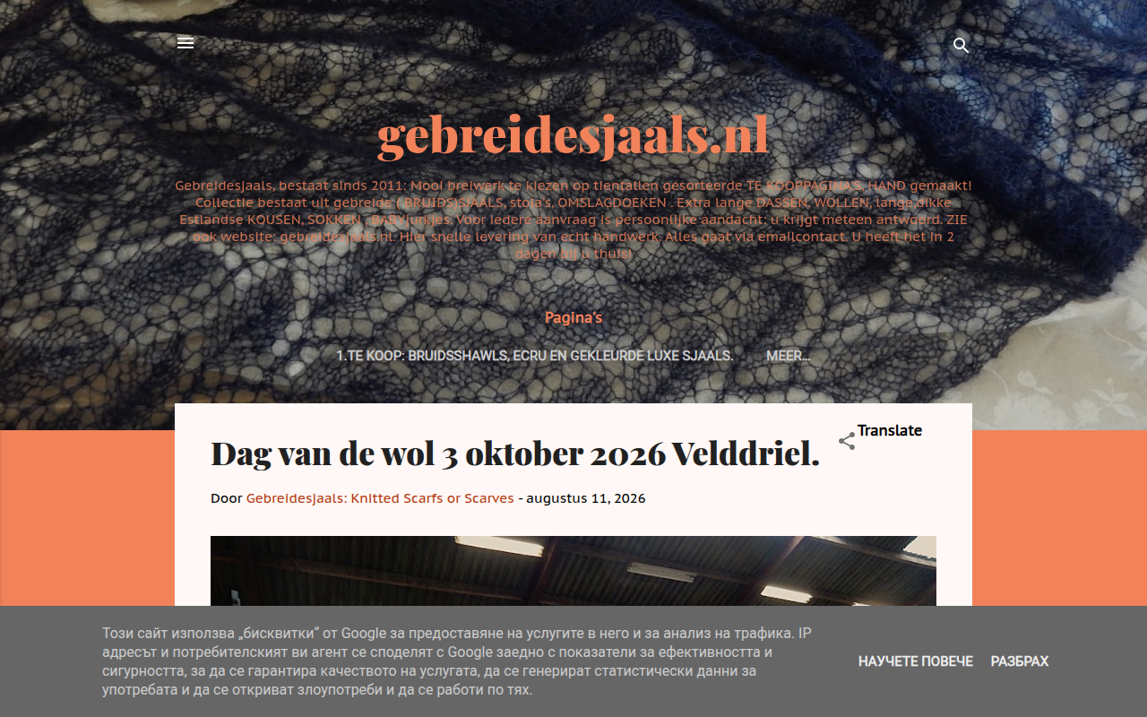 Screenshot van gebreidesjaals.blogspot.com