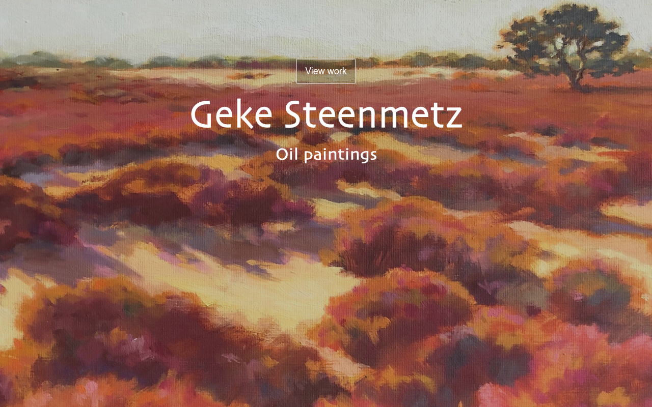 Screenshot van geke-steenmetz.nl