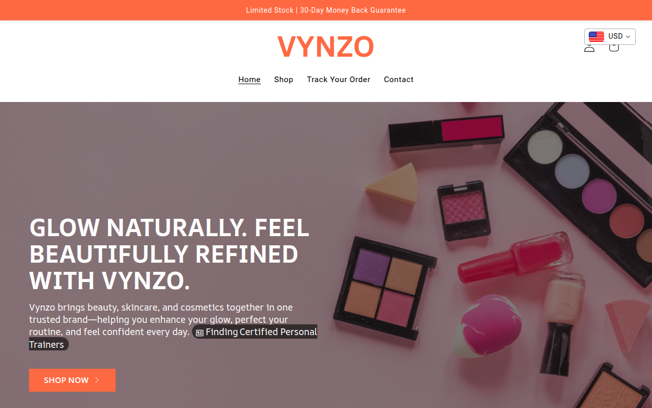 Screenshot van getvynzo.com