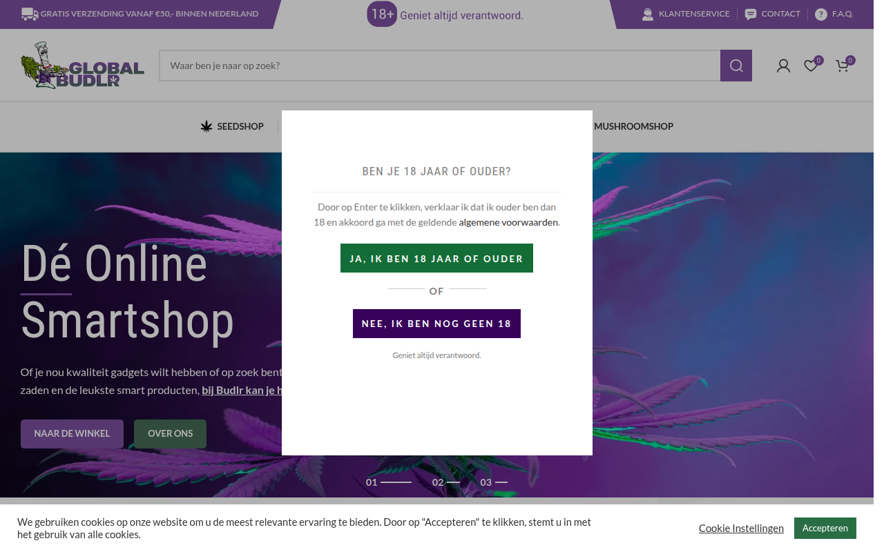 Screenshot van globalbudlr.com