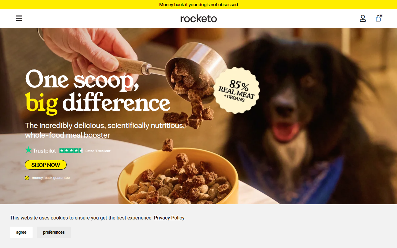 Screenshot van gorocketo.com