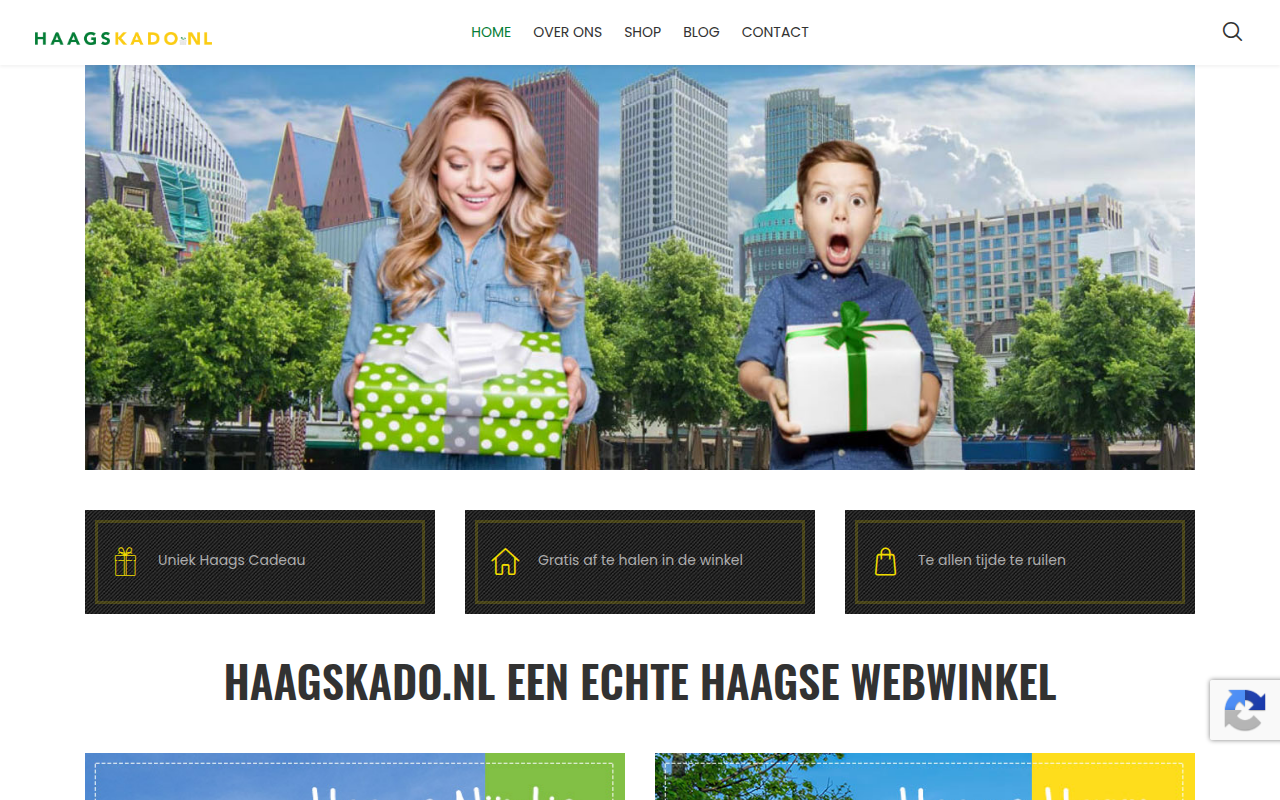 Screenshot van haagskado.nl