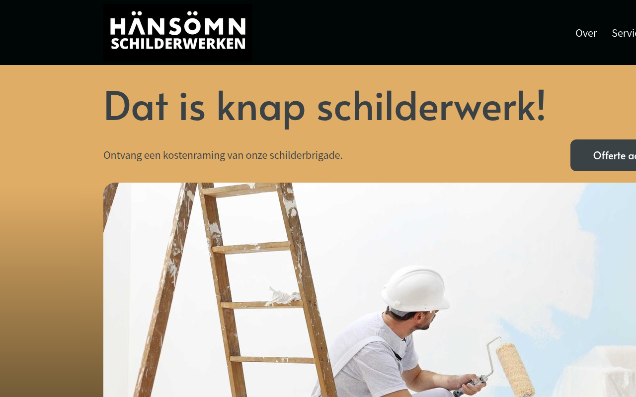 Screenshot van hansomn.com