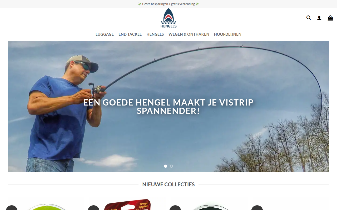 Screenshot van hoofdlijnennl.com
