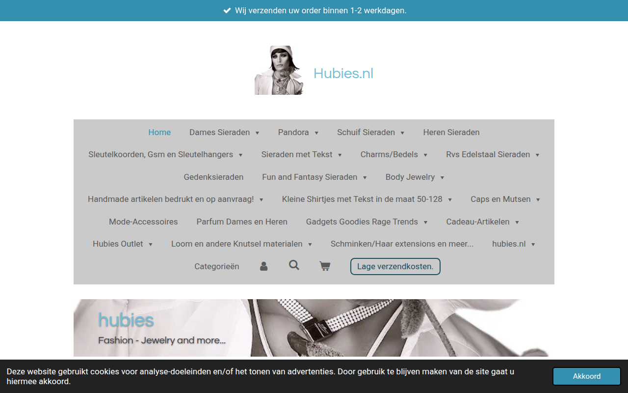 Screenshot van hubies.nl