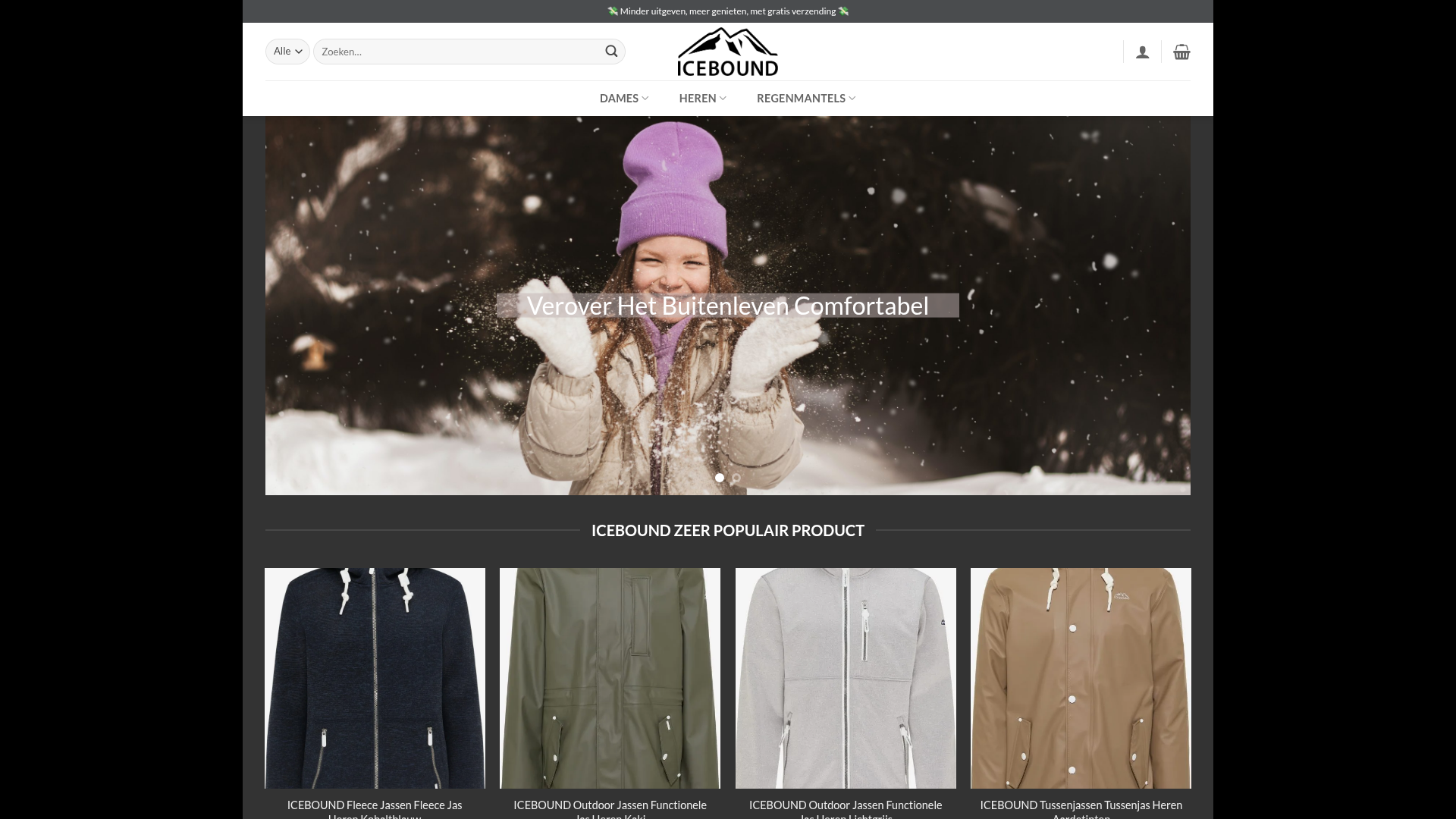 Screenshot van icebounds.com