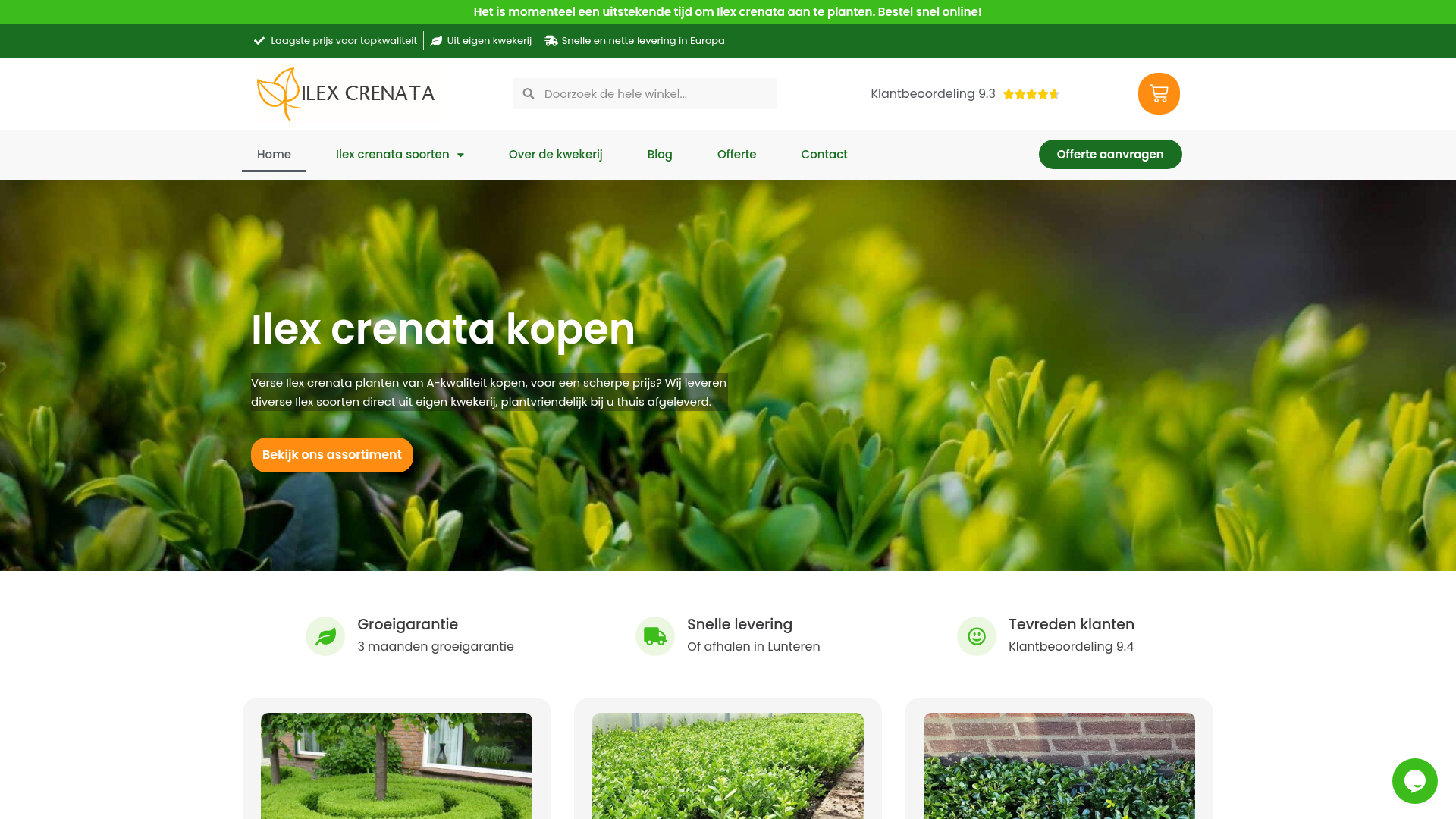 Screenshot van ilexcrenata.nl