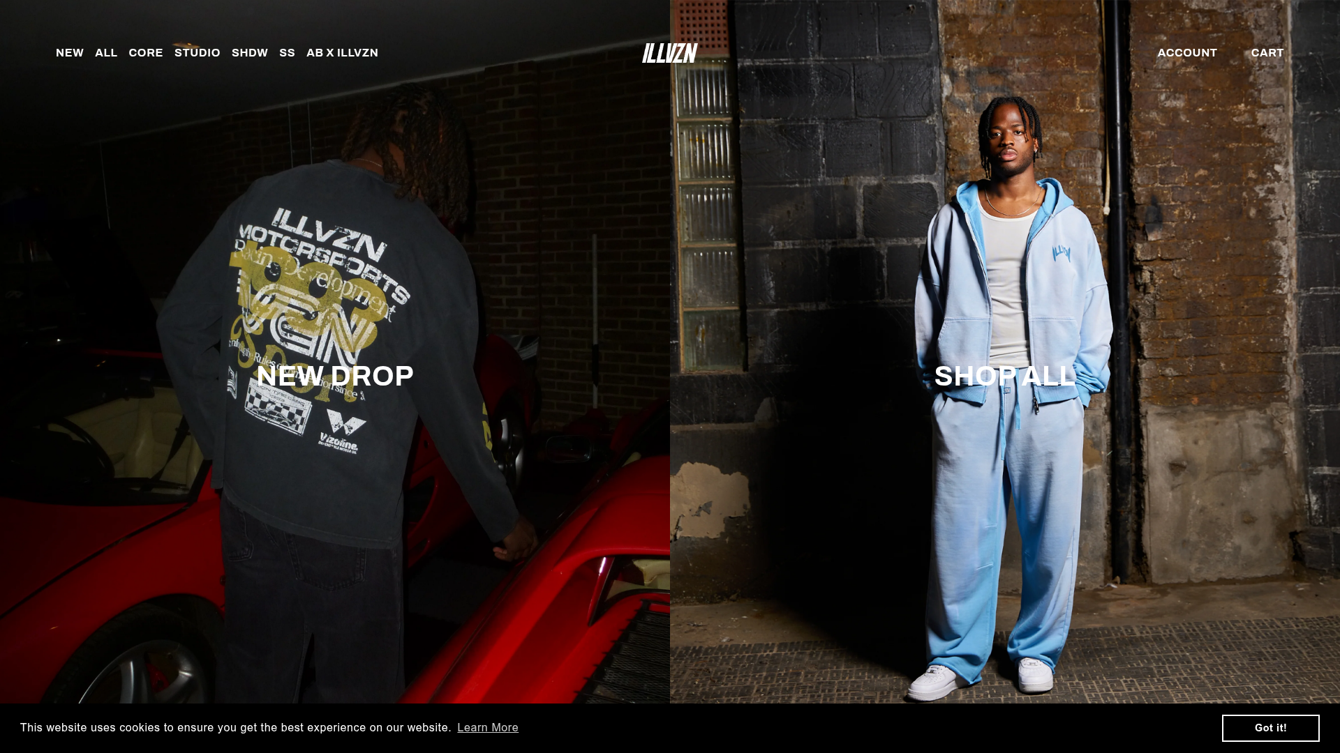 Screenshot van illvzn.com