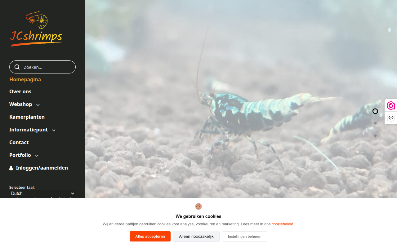 Screenshot van jcshrimps.com
