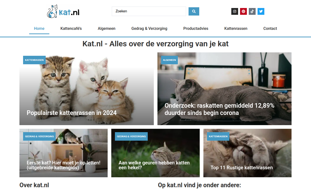 Screenshot van kat.nl