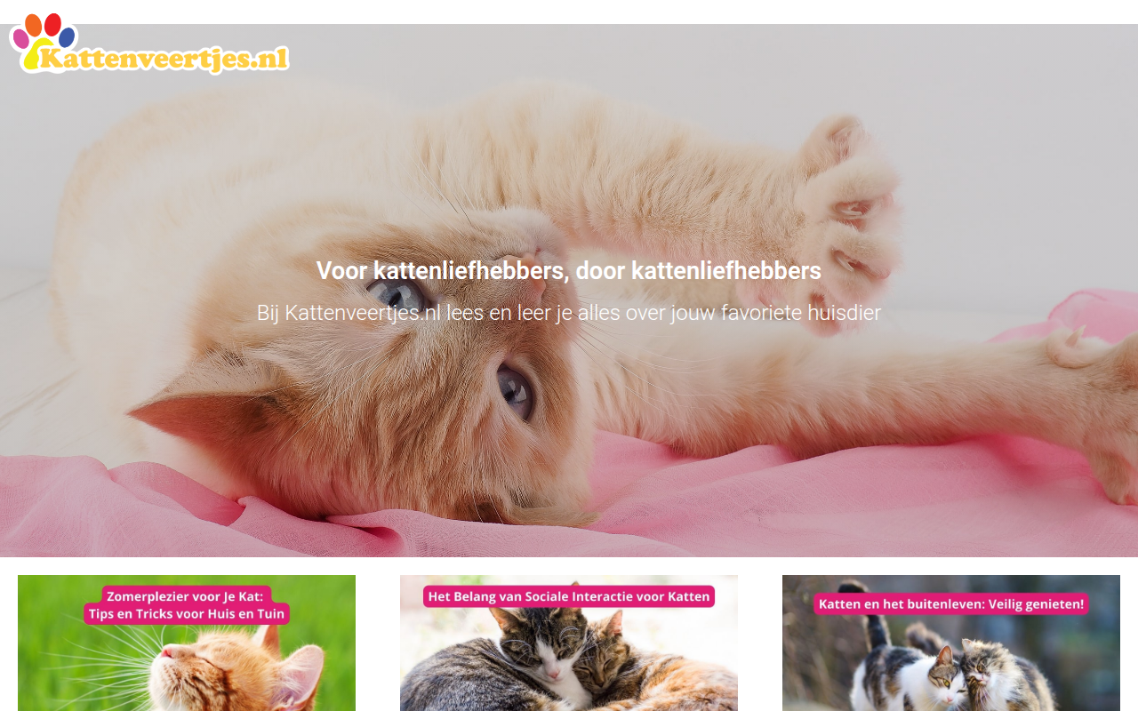 Screenshot van kattenveertjes.nl