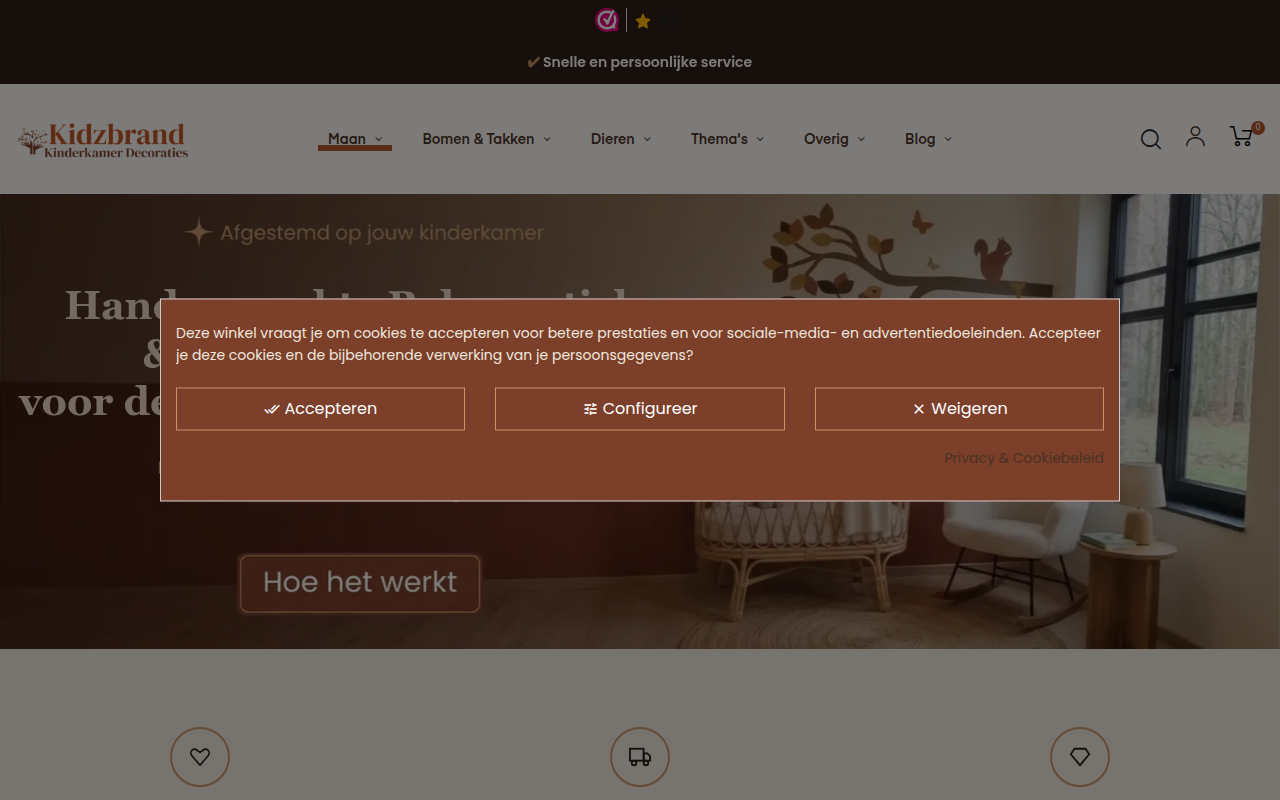 Screenshot van kidzbrand.nl