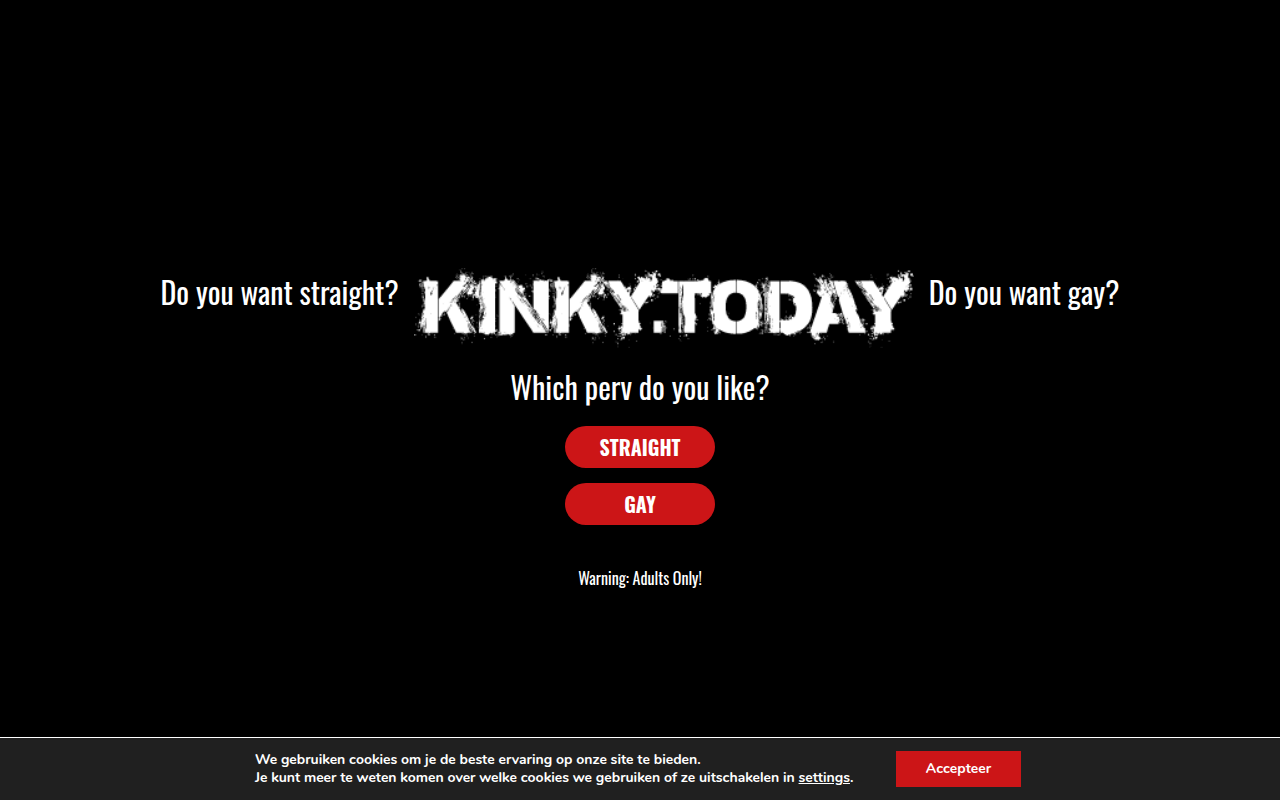 Screenshot van kinky.today