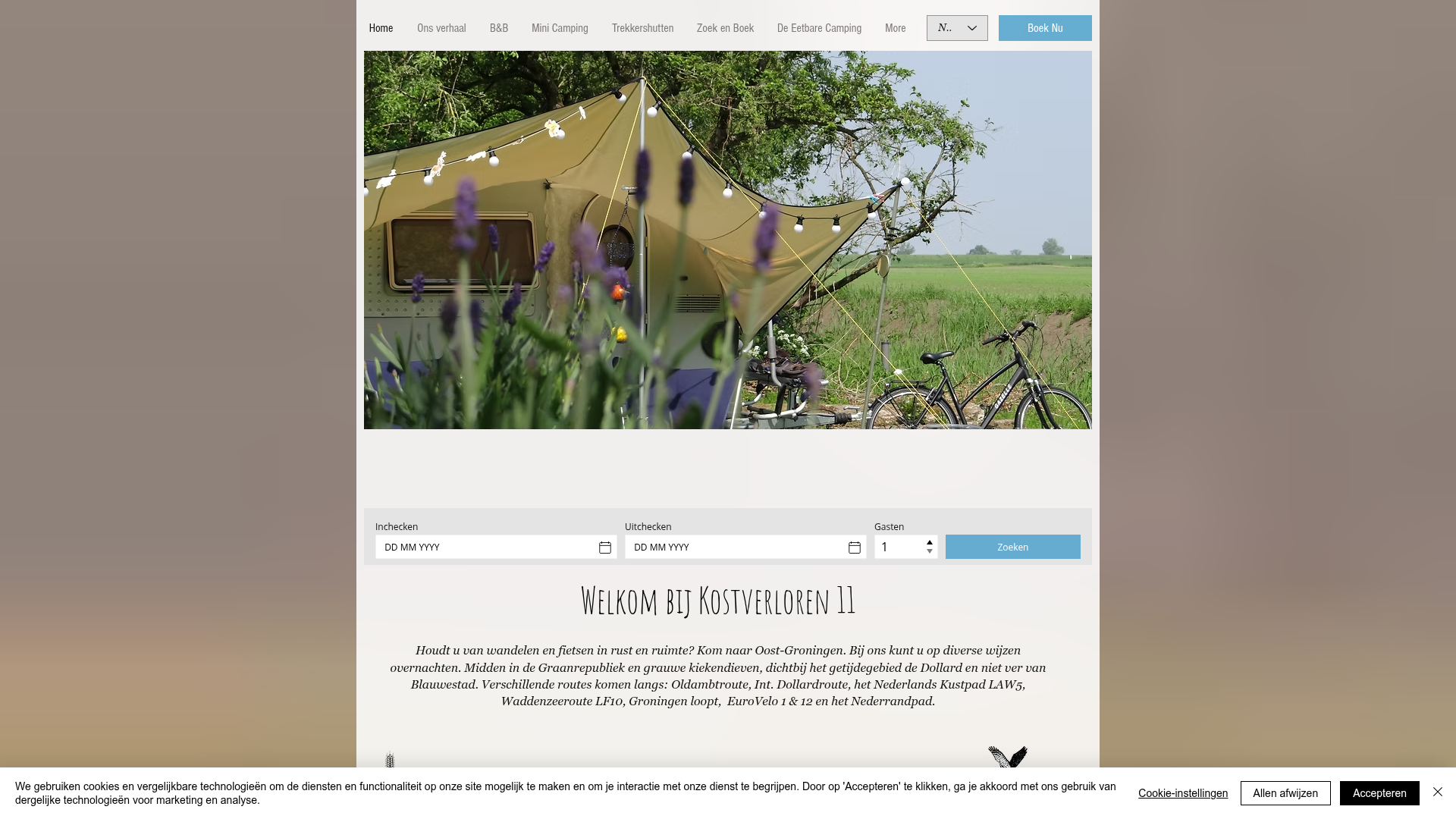 Screenshot van kostverloren11.nl