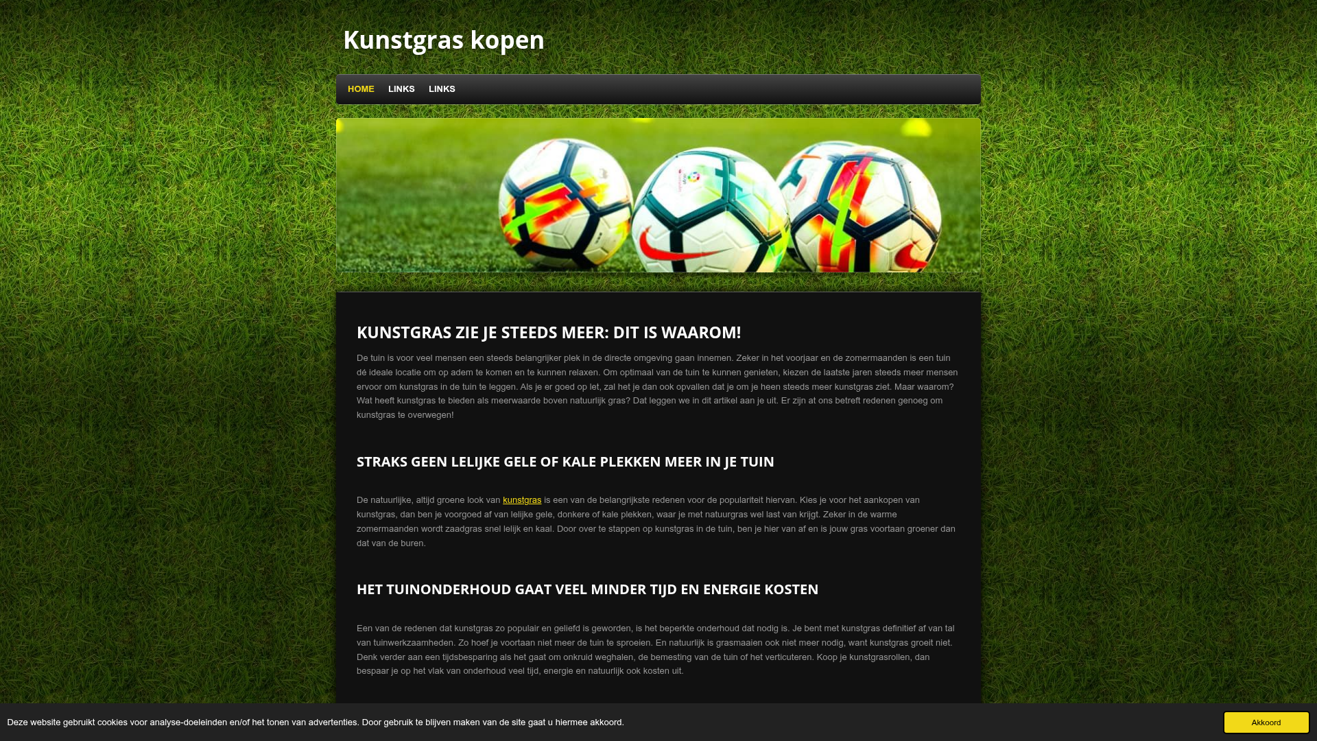 Screenshot van kunstgras-kopen.jouwweb.nl