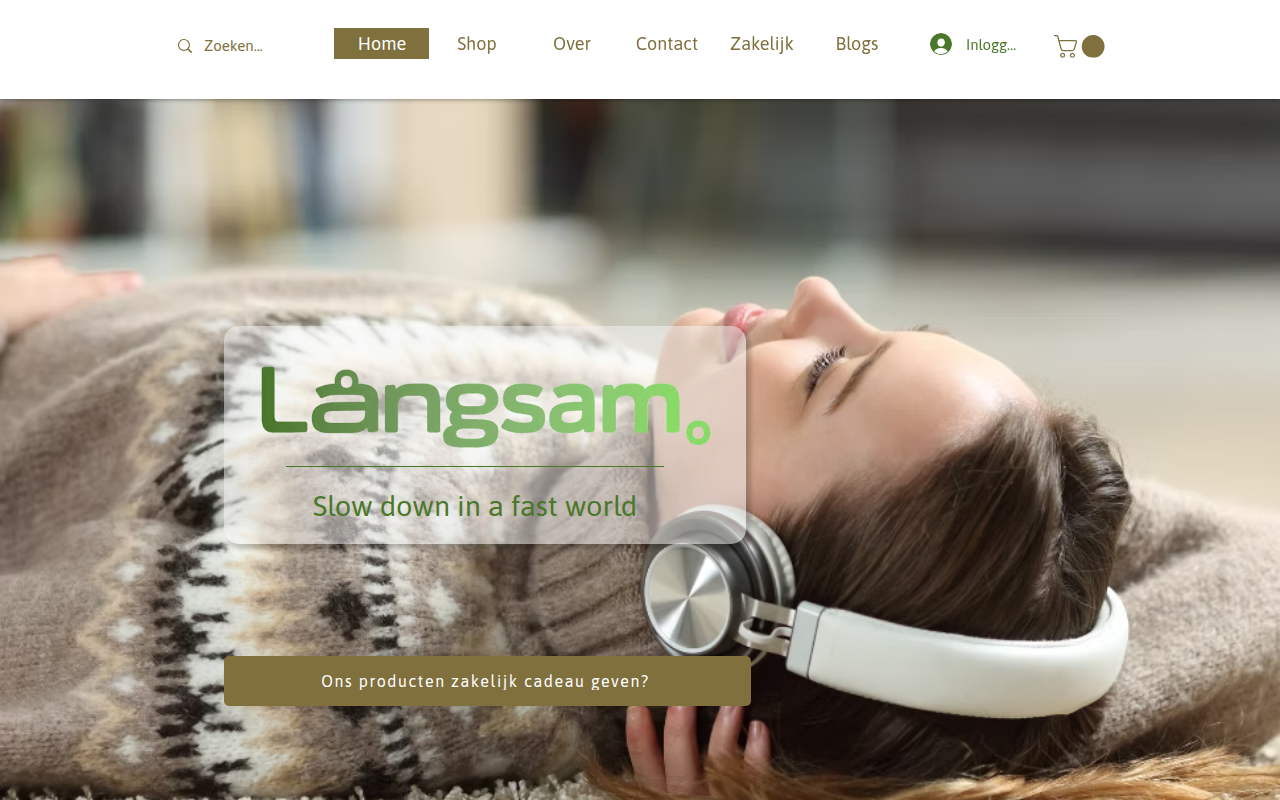 Screenshot van langsam.eu