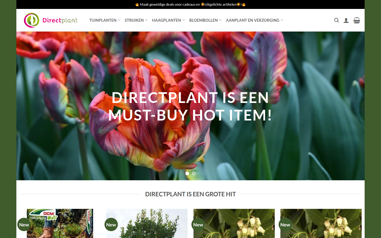 Screenshot van leafygronl.com