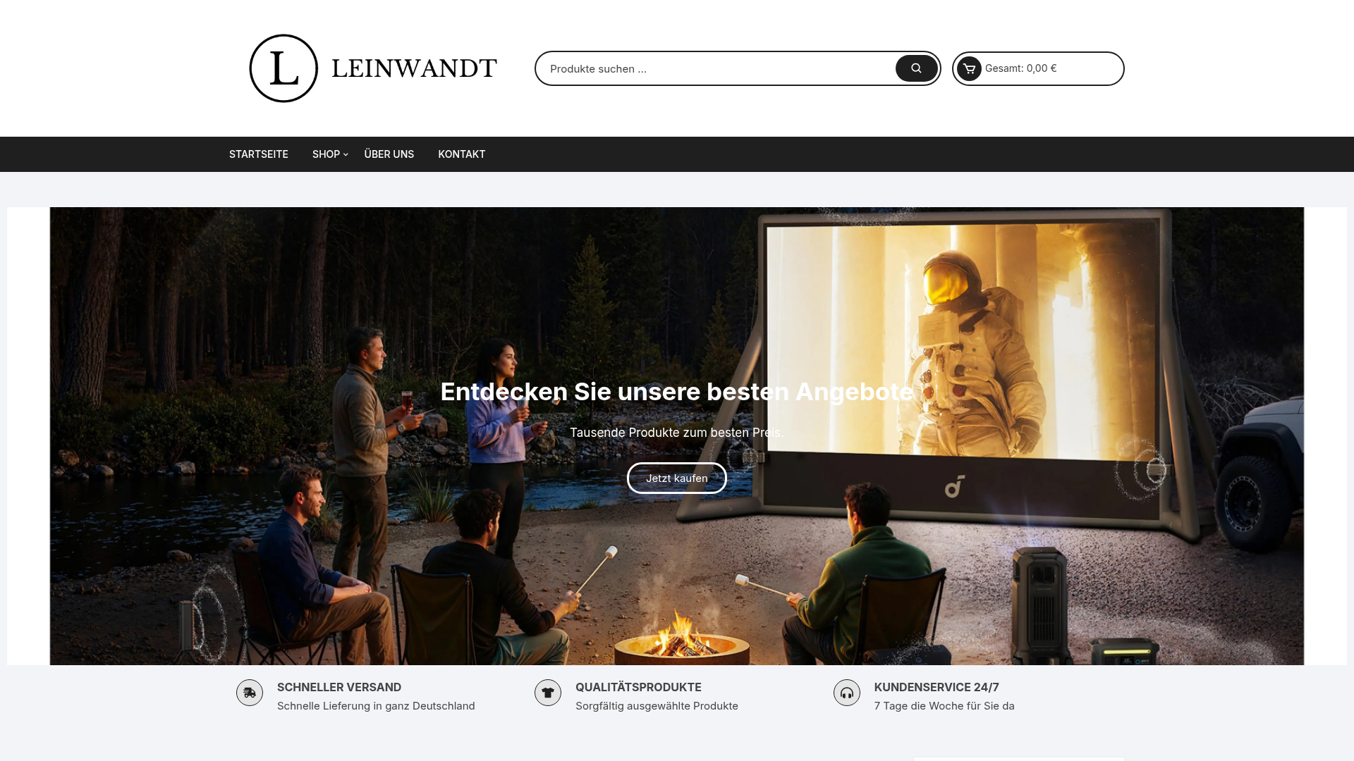 Screenshot van leinwandt.com