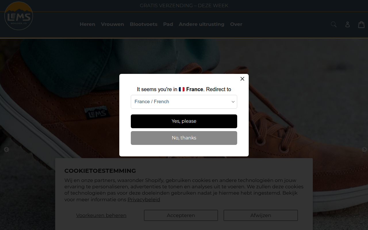 Screenshot van lemsshoes.nl