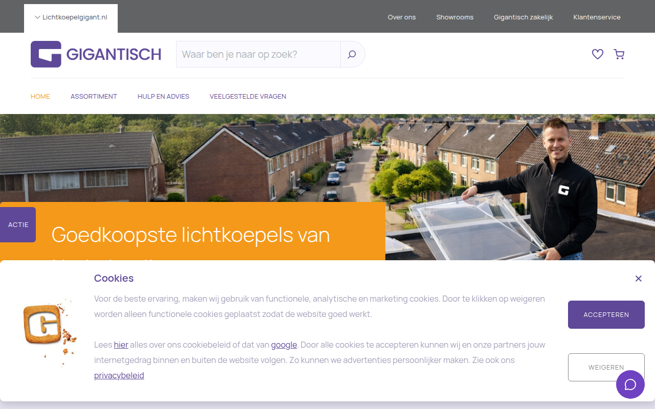 Screenshot van lichtkoepelgigant.nl