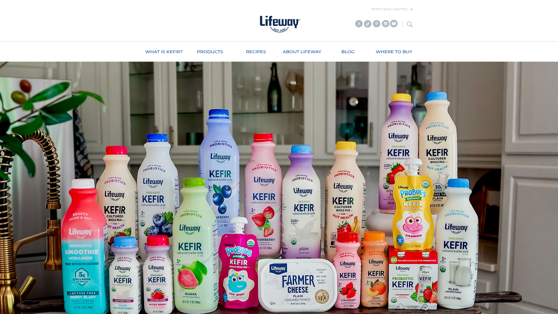 Screenshot van lifewaykefir.com