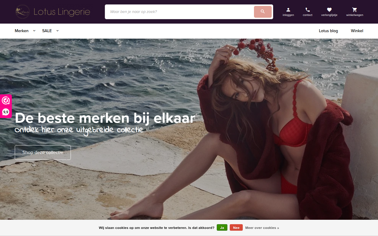 Screenshot van lotuslingerie.nl