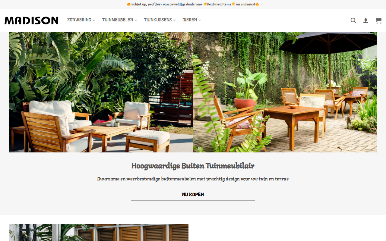 Screenshot van madisonnl.com