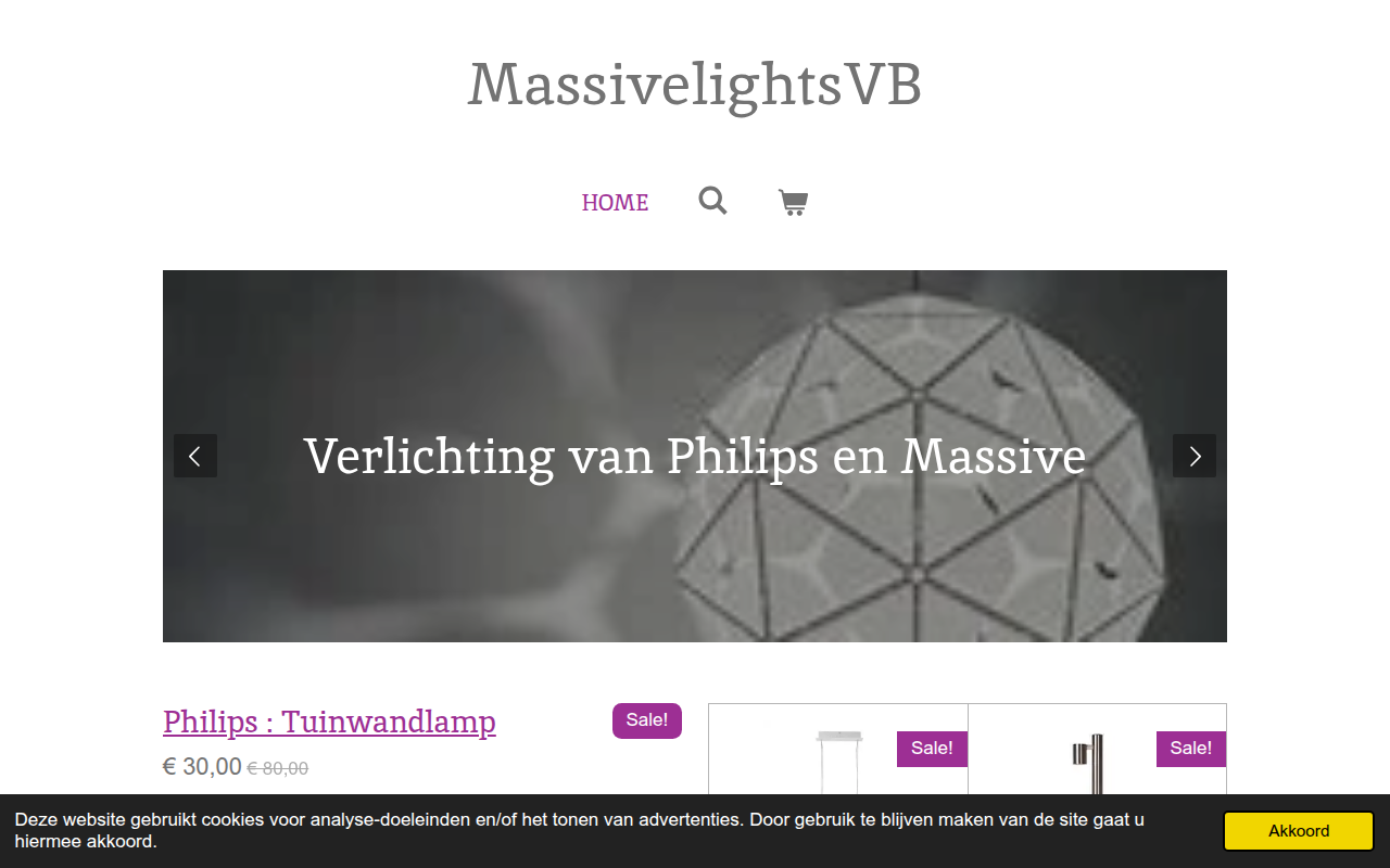 Screenshot van massivelightsvb.be