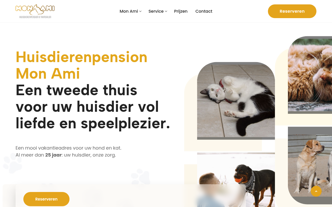 Screenshot van monami.nl