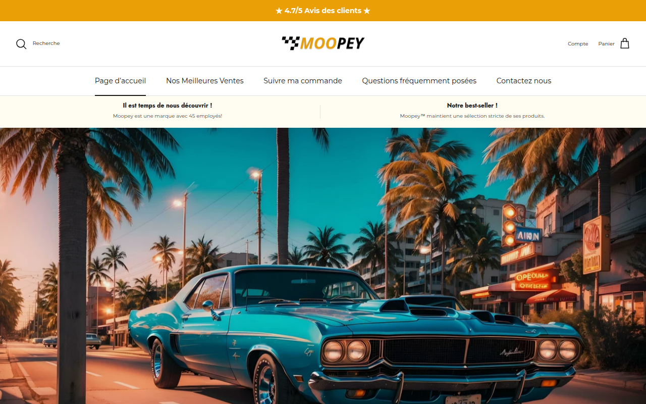 Screenshot van moopey.com