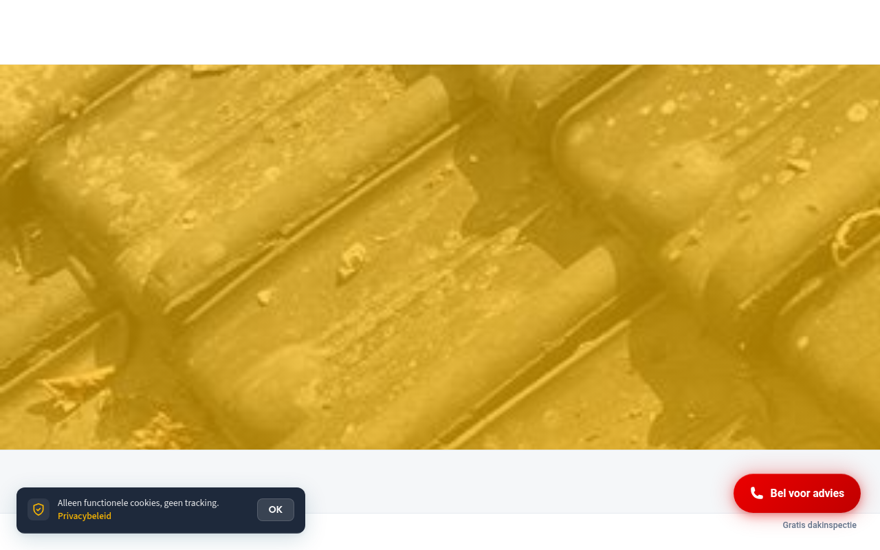 Screenshot van mrdakdekkerenschede.nl