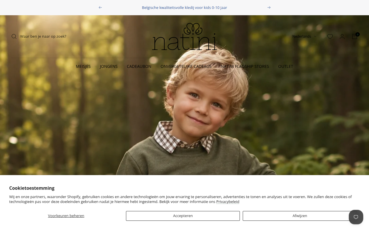 Screenshot van natini.be